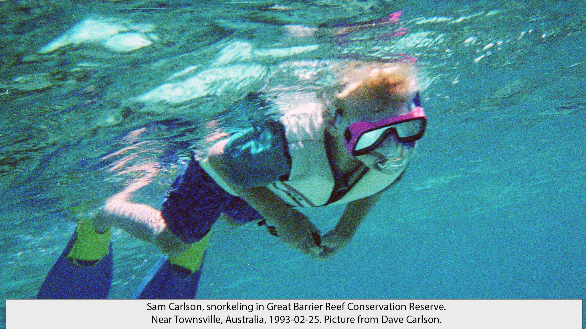 Sam reef