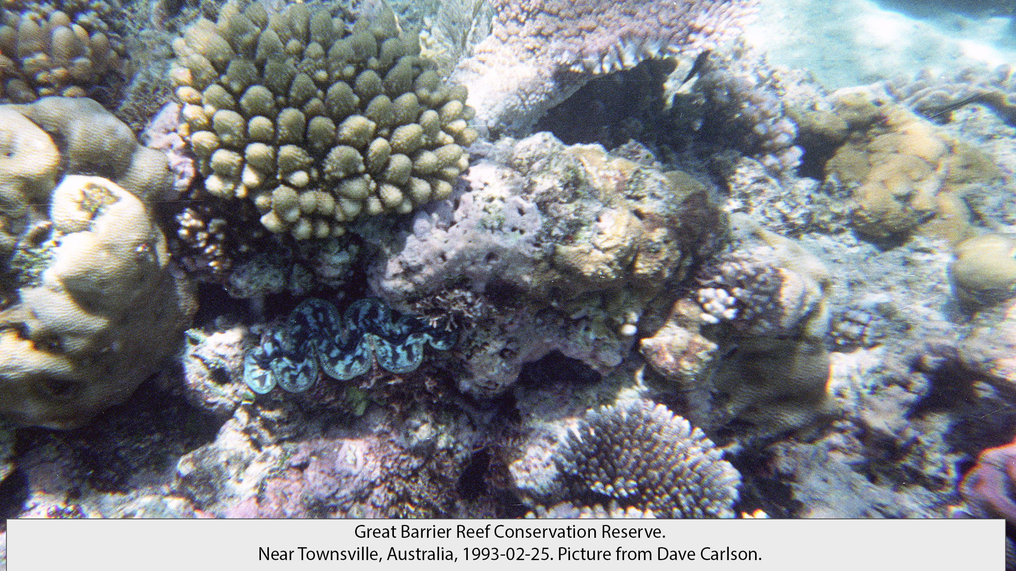 Great Barrier Reef