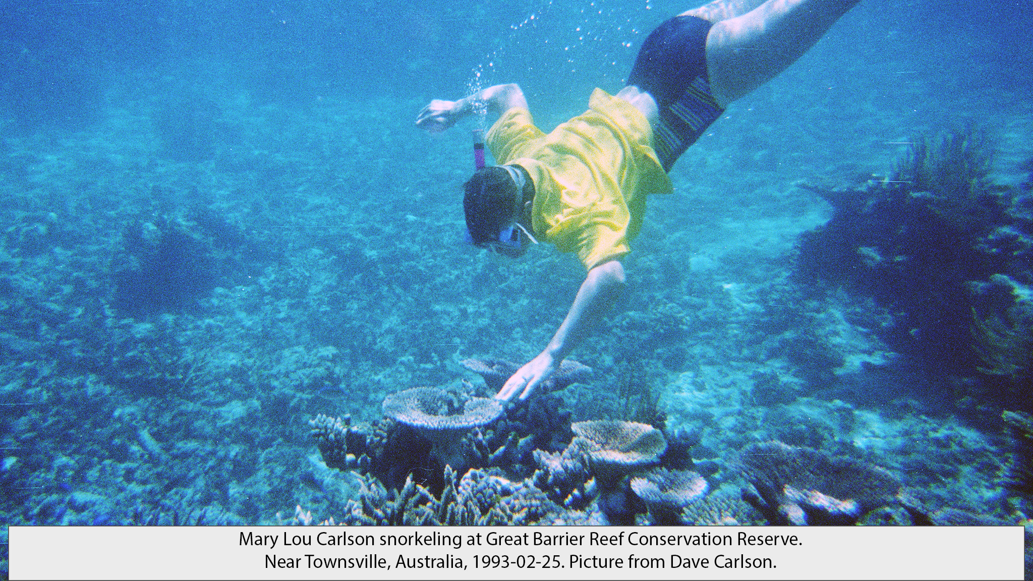 Mary Lou reef