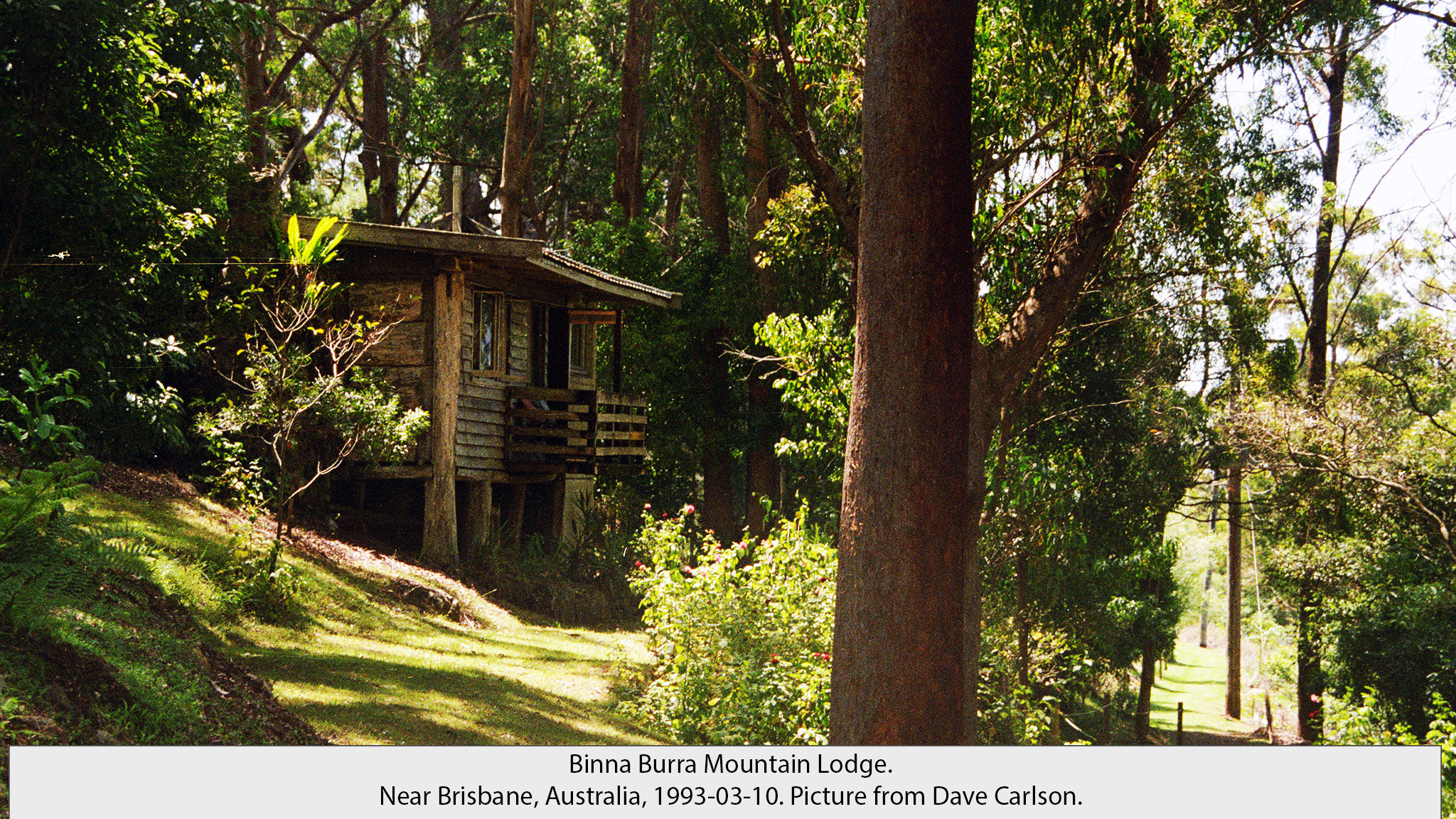 Binna Burra