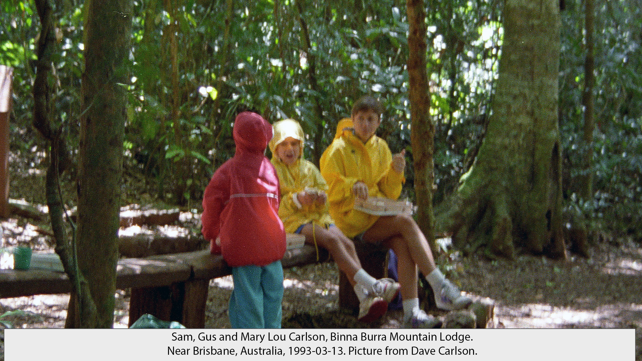 Binna Burra