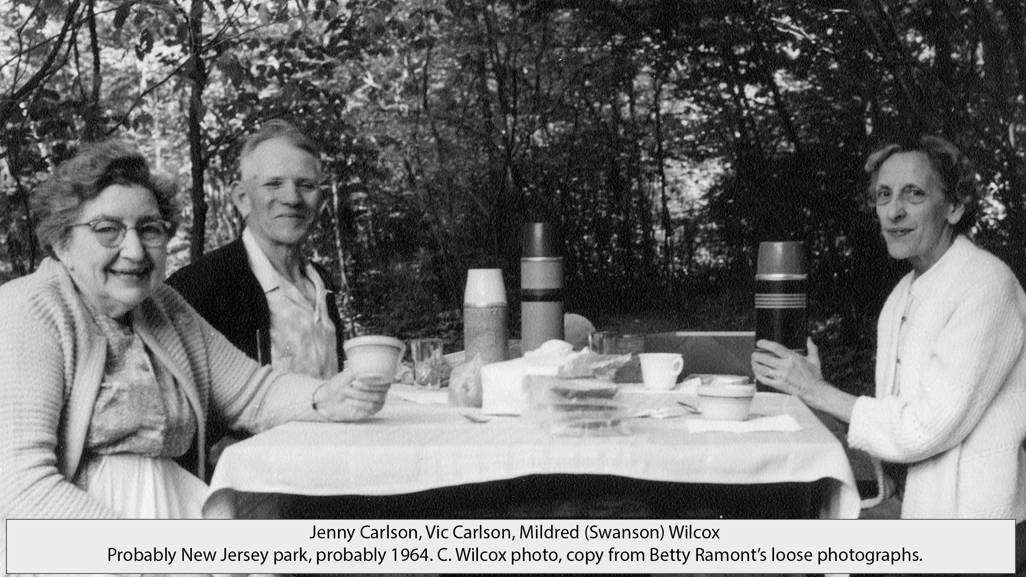New Jersey picnic