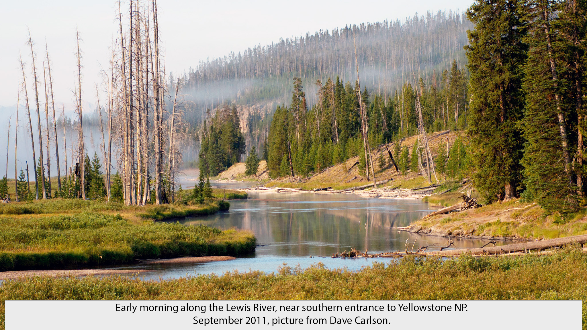 Lewis River